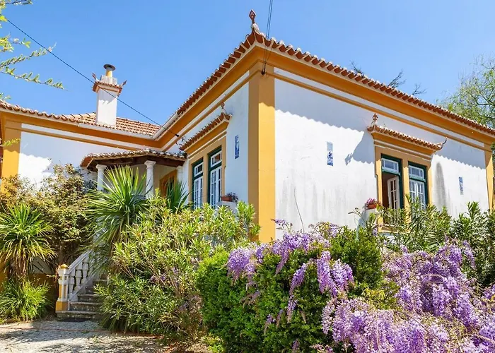 Estilo Africano Rum i privatbostad